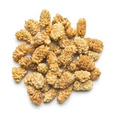 BULK KURU DUT Dried Mulberries 100g
