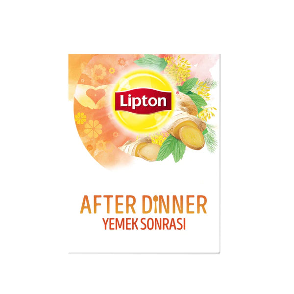 LIPTON After Dinner Herbal Tea YEMEK SONRASI CAYI 22g