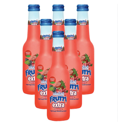 ULUDAG FRUTTI EXTRA  Mineral Water Pop Drink Berries MADEN SUYU 6 pieces