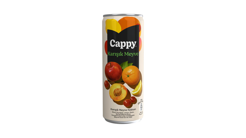 CAPPY KARISIK MEYVE NEKTARI Mixed Fruit Nectar 330ml