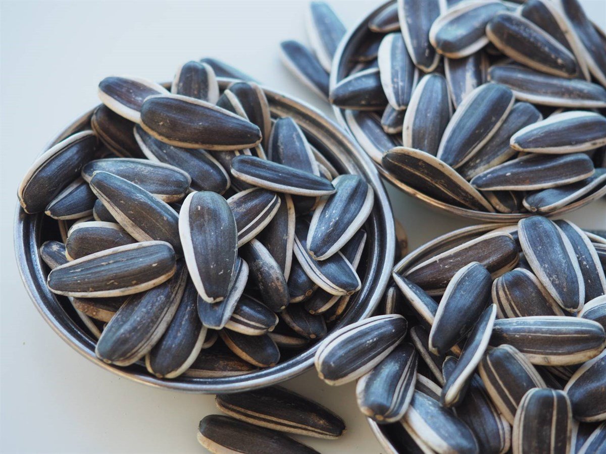 BULK Sunflower Seeds Unsalted Tuzsuz Aycekirdegi 100g