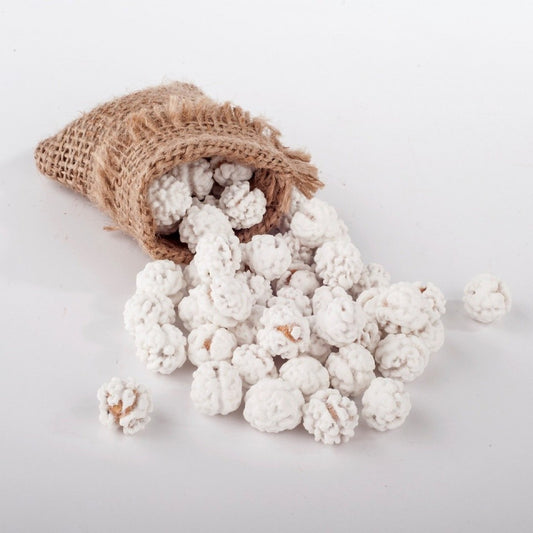 BULK Roasted Chickpeas with Sugar Coating SEKERLI LEBLEBI